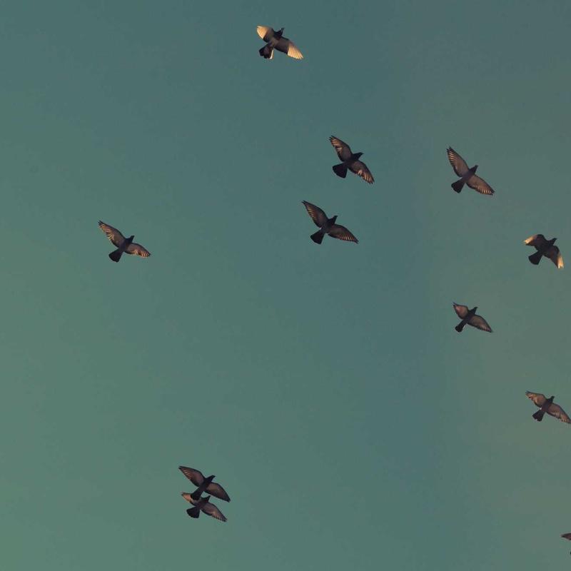 BrewMaster pour-over coffee maker