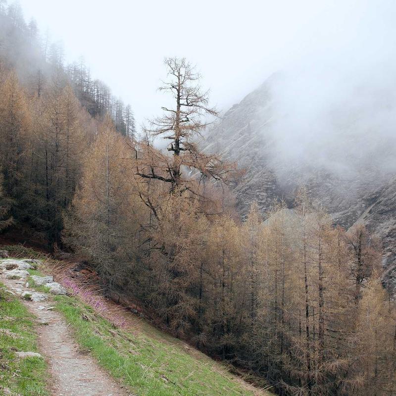 Casa ceramic dinner set