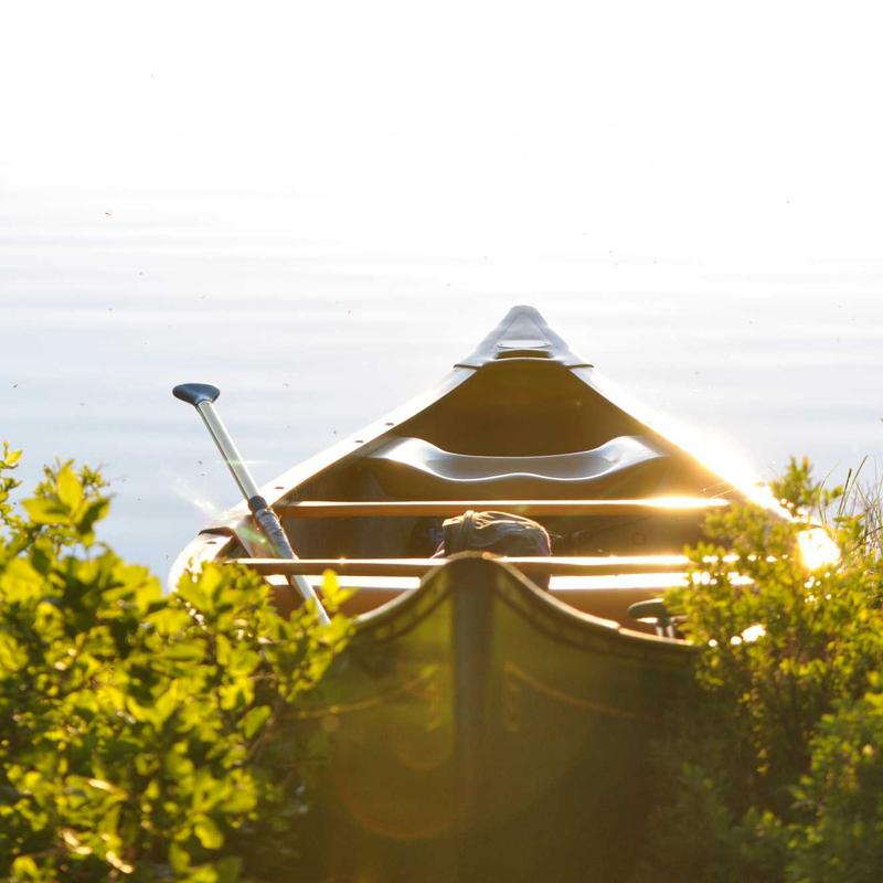 PulseBeats TWS earbuds