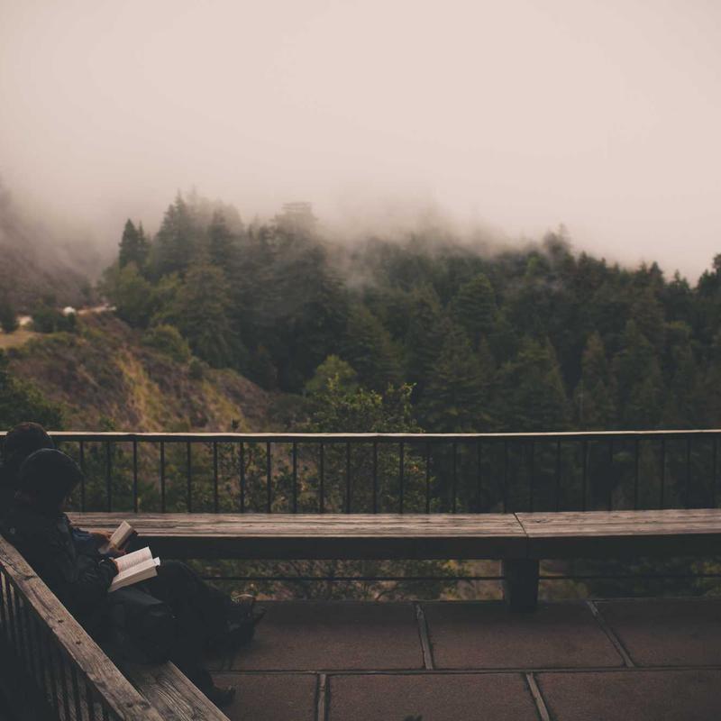 PixelPro mouse ergonomic view