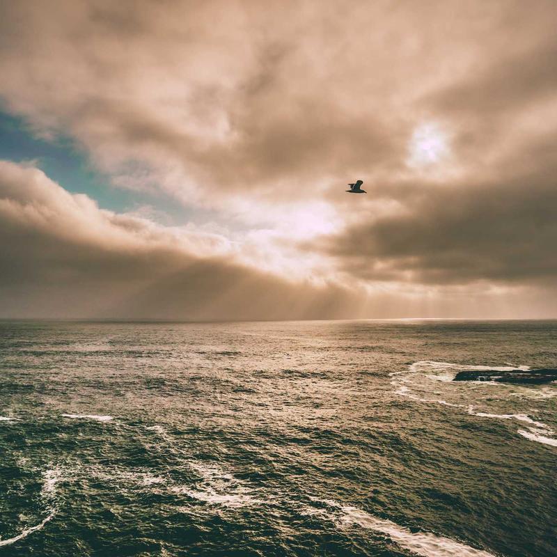 CloudNest pillow cross-section