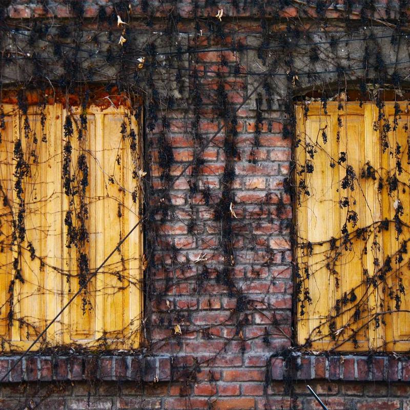 NovaSkin Vitamin C Serum bottle