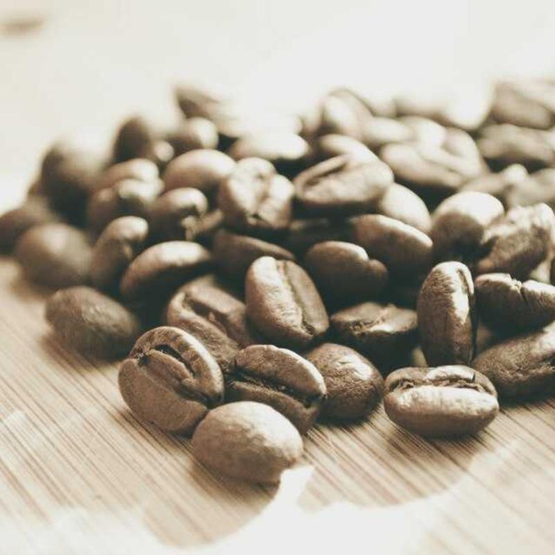 UrbanCarry tote interior