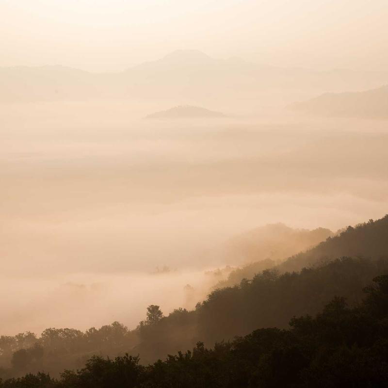 SmartFit tracker on wrist